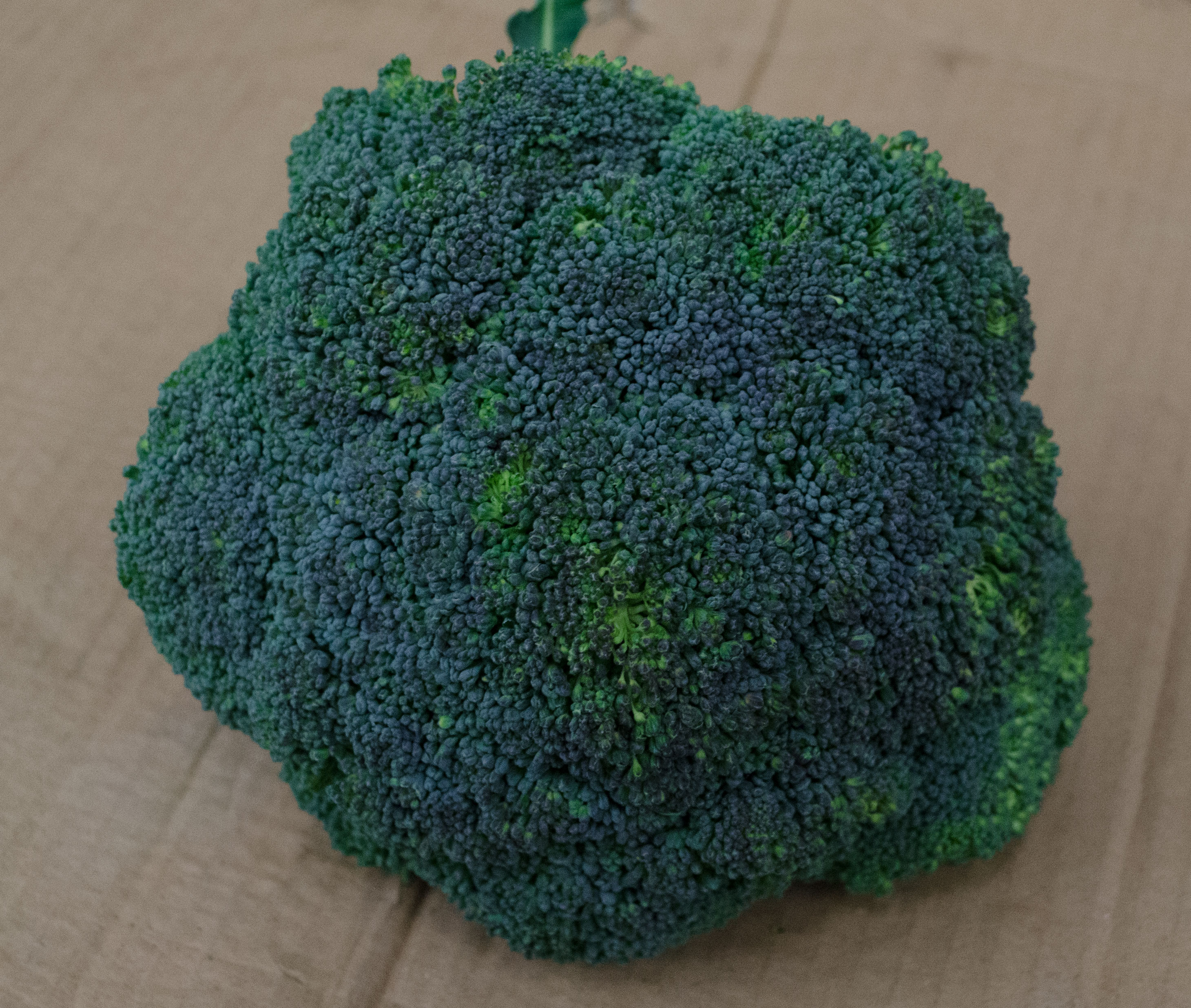 Brokkoli Broccoli Kiste