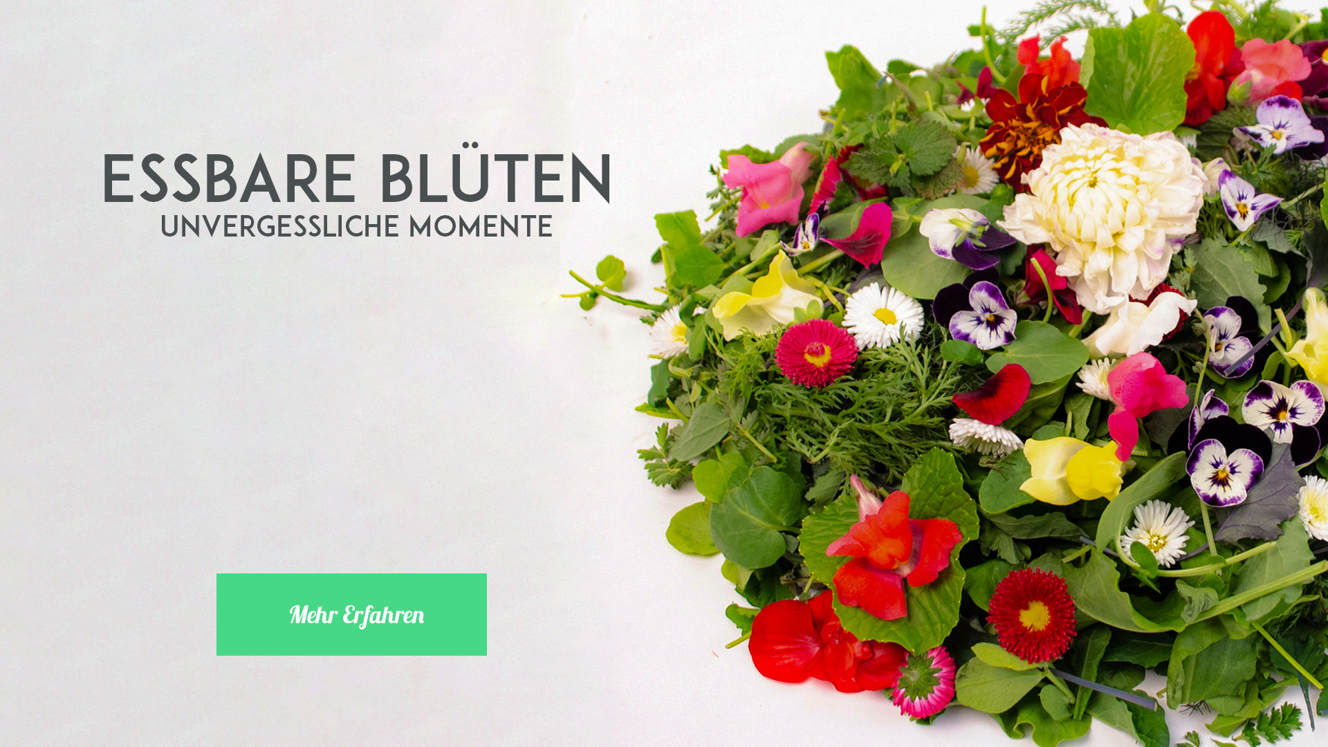 fk-blueten-banner-startseite-50-501