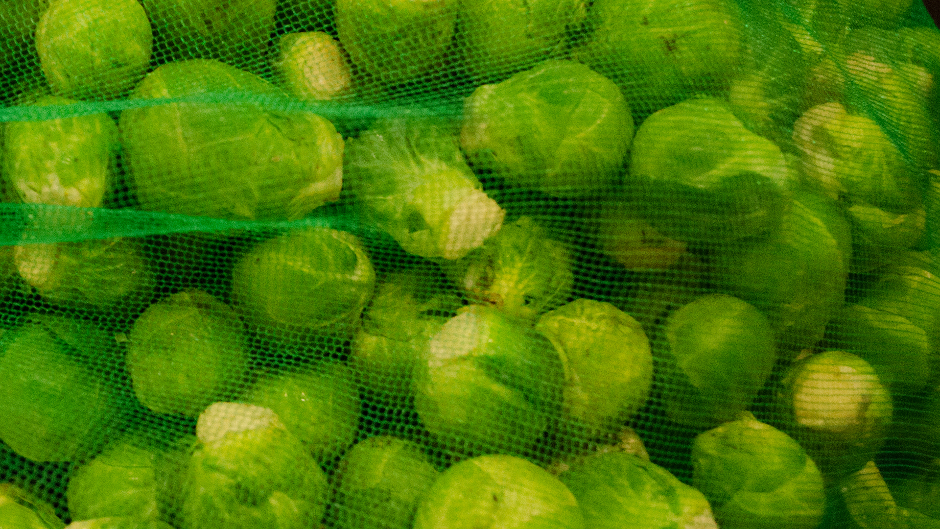 rosenkohl-sack-deutschland Rosenkohl 5kg