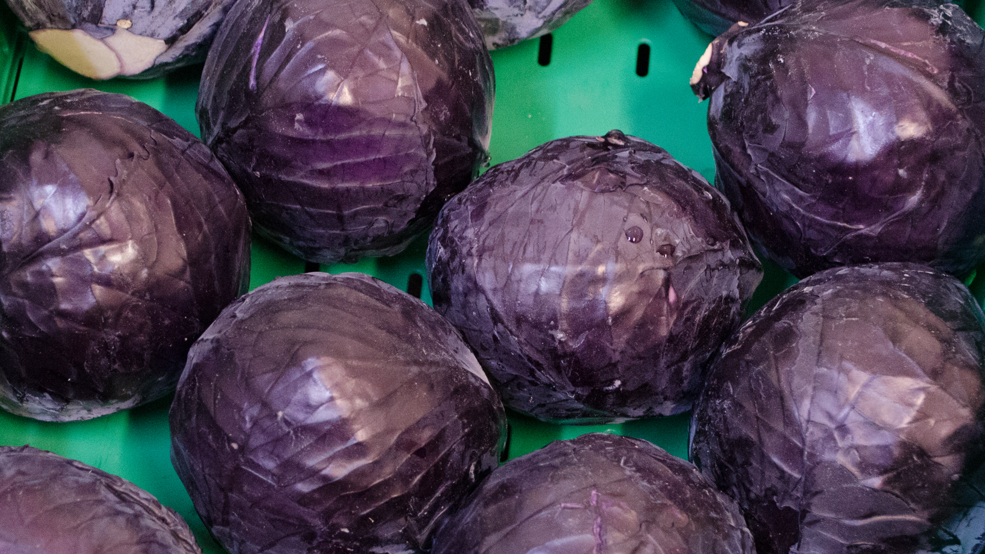 bio-rotkohl-aus-deutschland-kiste Bio Rotkohl 10kg Kiste