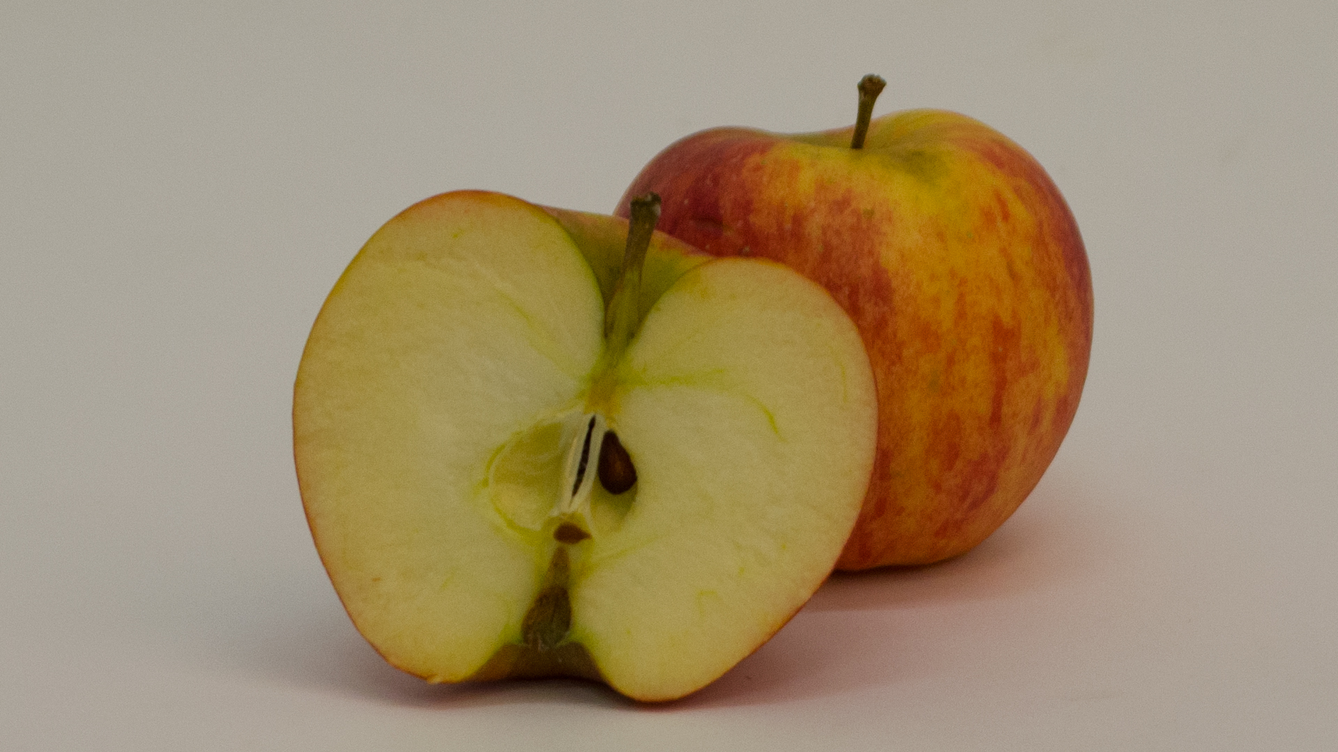 apfel-elstar