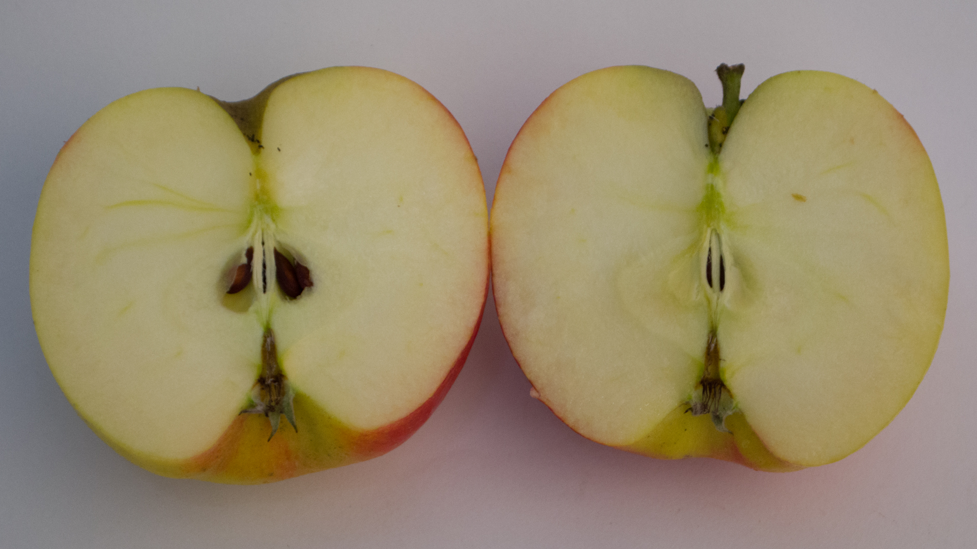 Junami-Apfel