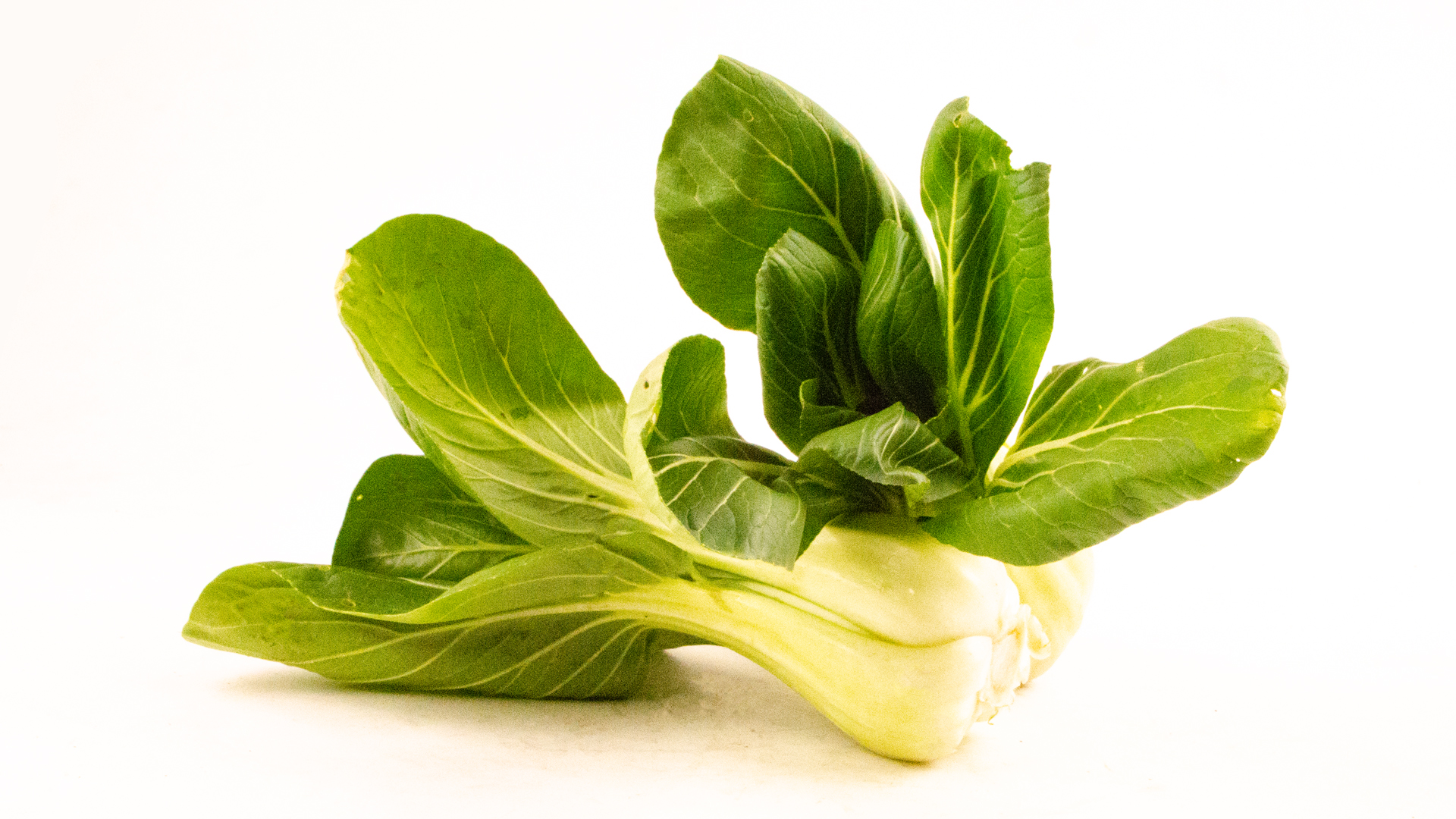 Pak-Choi-2 Pak Choi Kiste