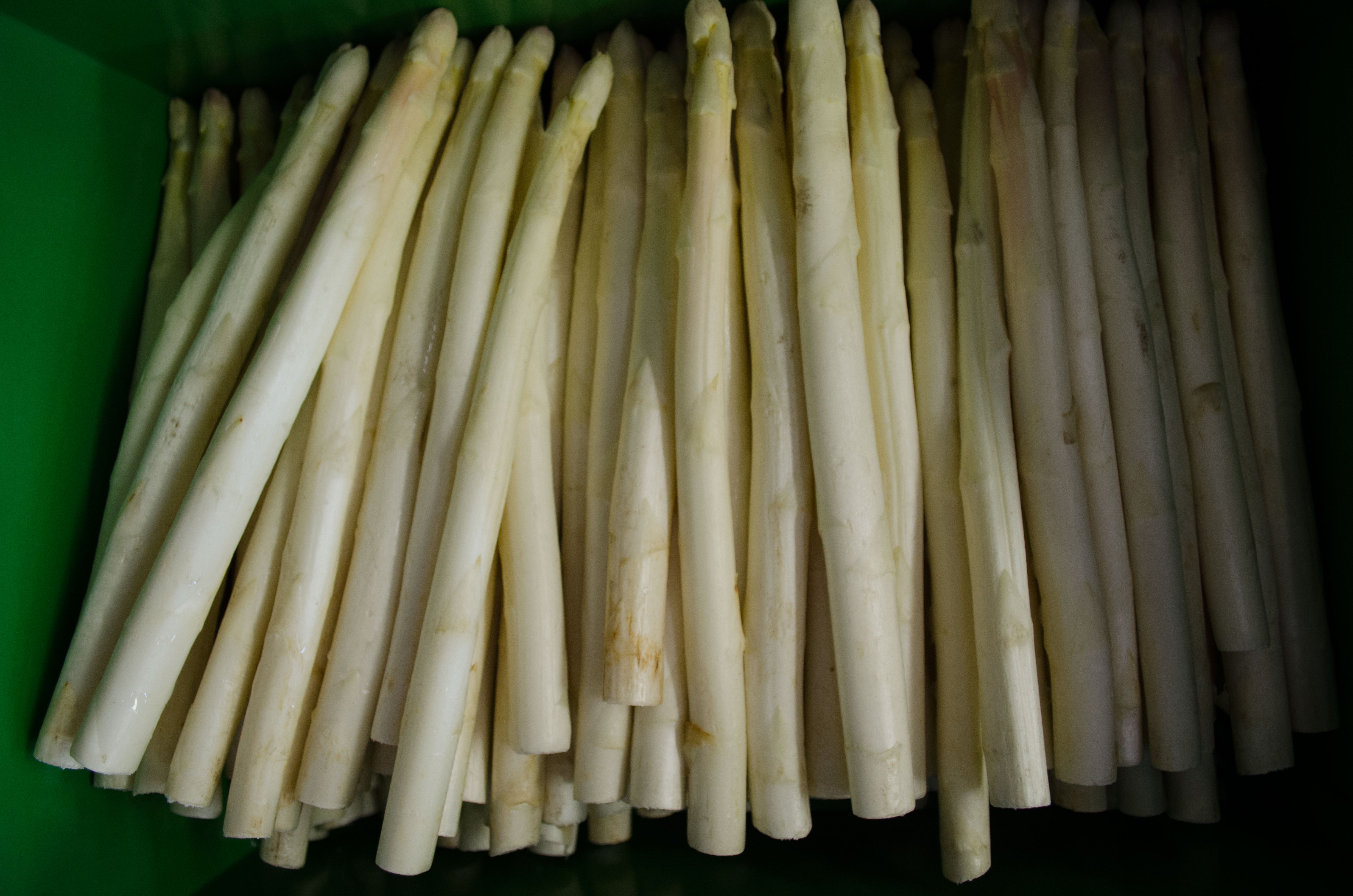 Bio-Spargel-d-nn Bio Spargel weiß/vio 14 mm+