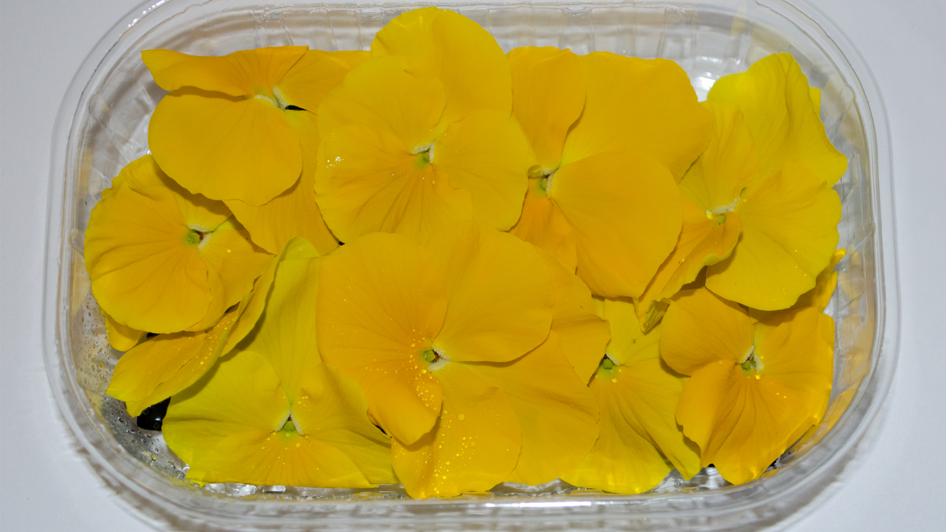 Stiefmütterchen gelb - Essbare Blüten