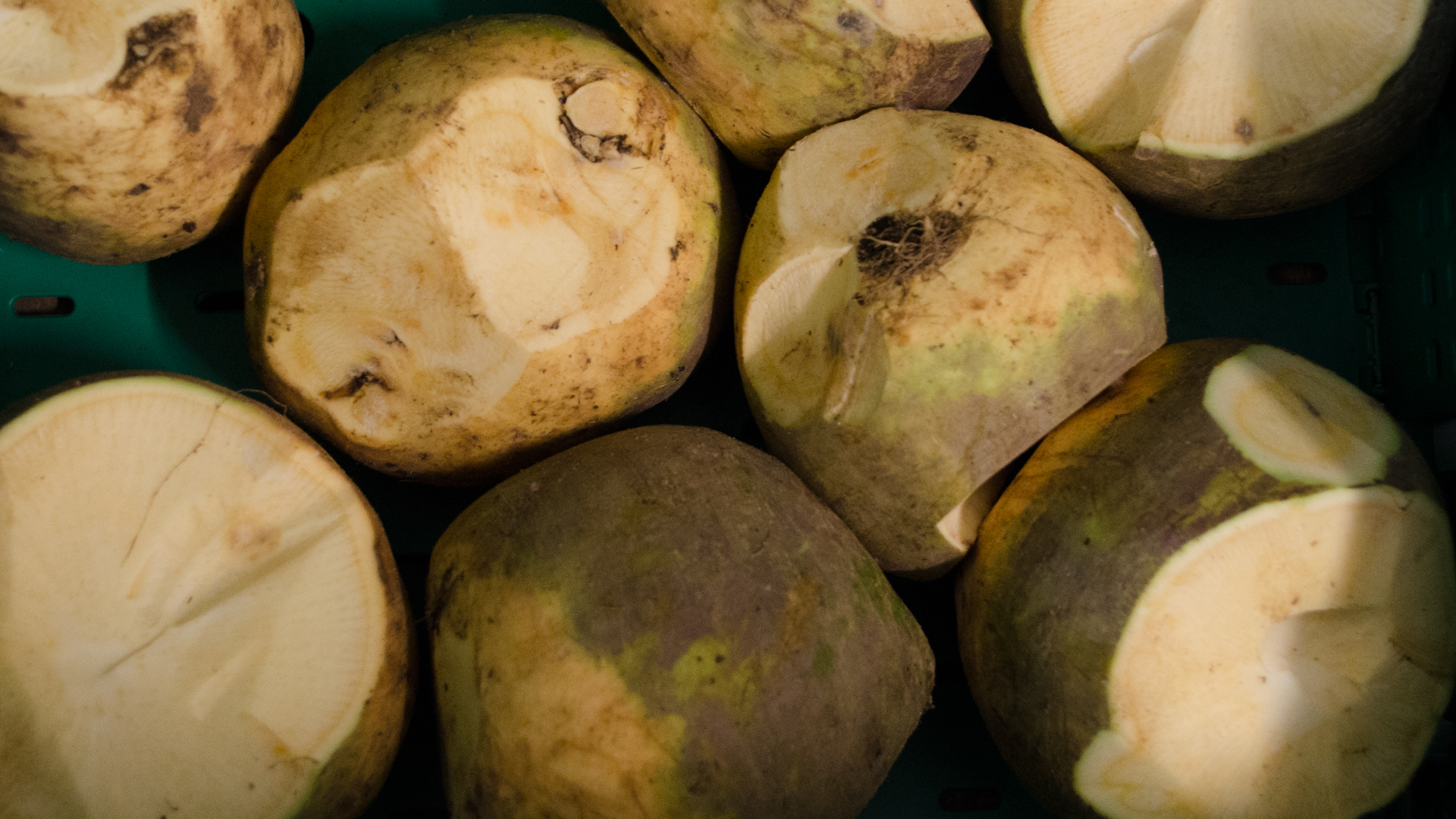 Bio-Steckr-ben Bio Steckrüben Bioland