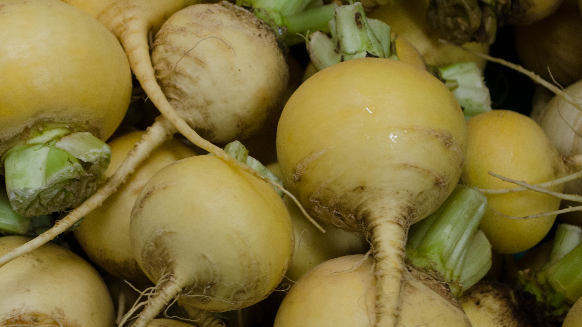 Bio-Gelbr-bchen Bio Gelbrübchen