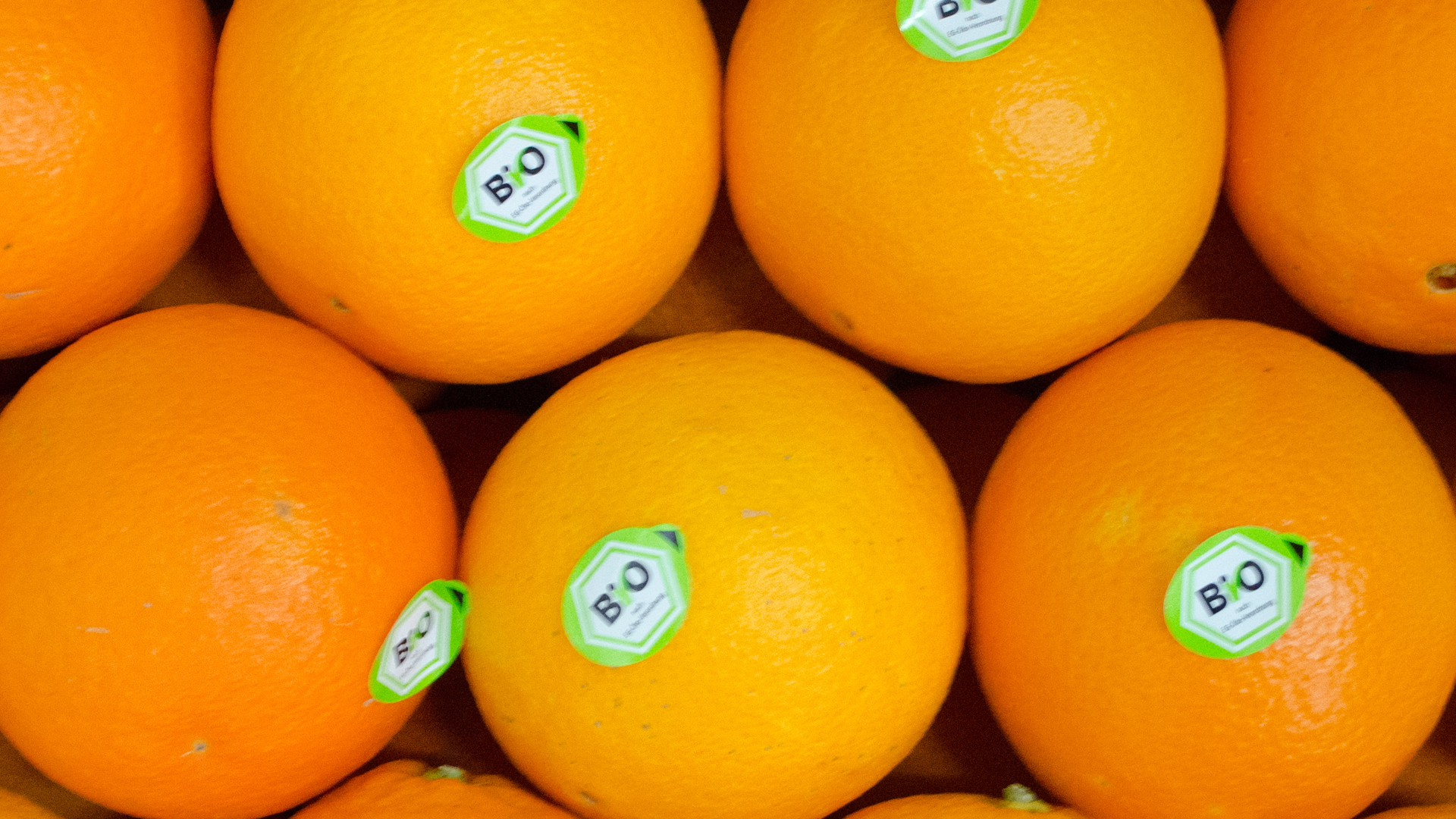 Bio Orangen online kaufen