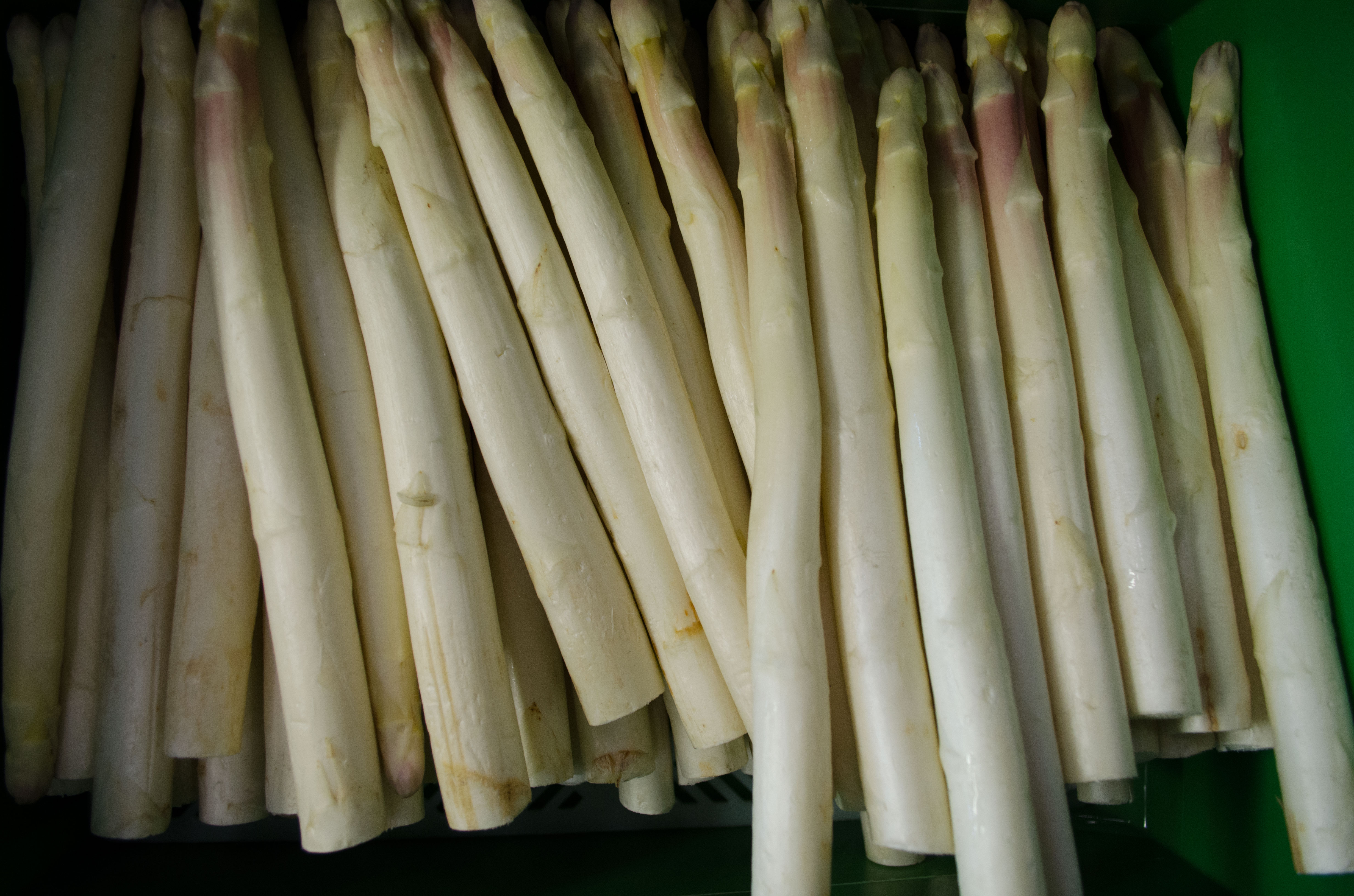 Bio-Spargel-weiss-dick Bio Spargel weiß 16-20 mm