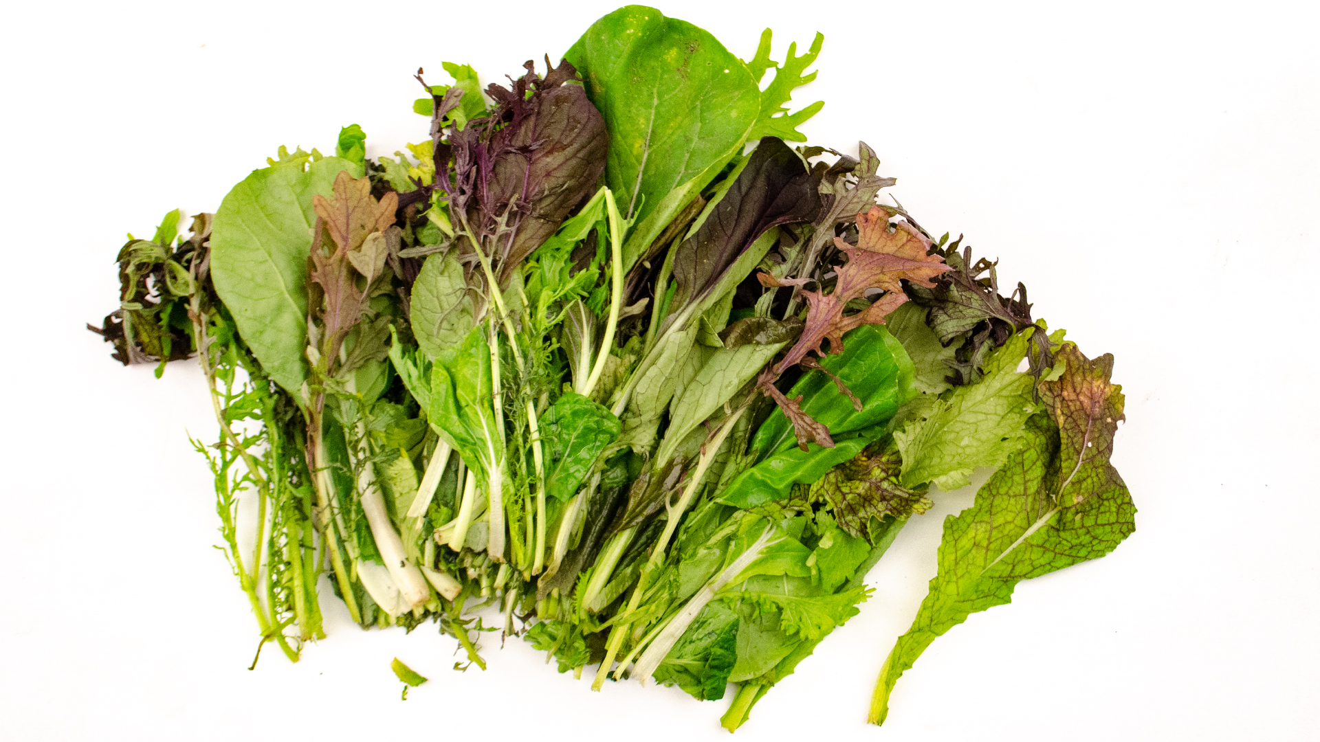 asia-mix-wildkr-uter-salat