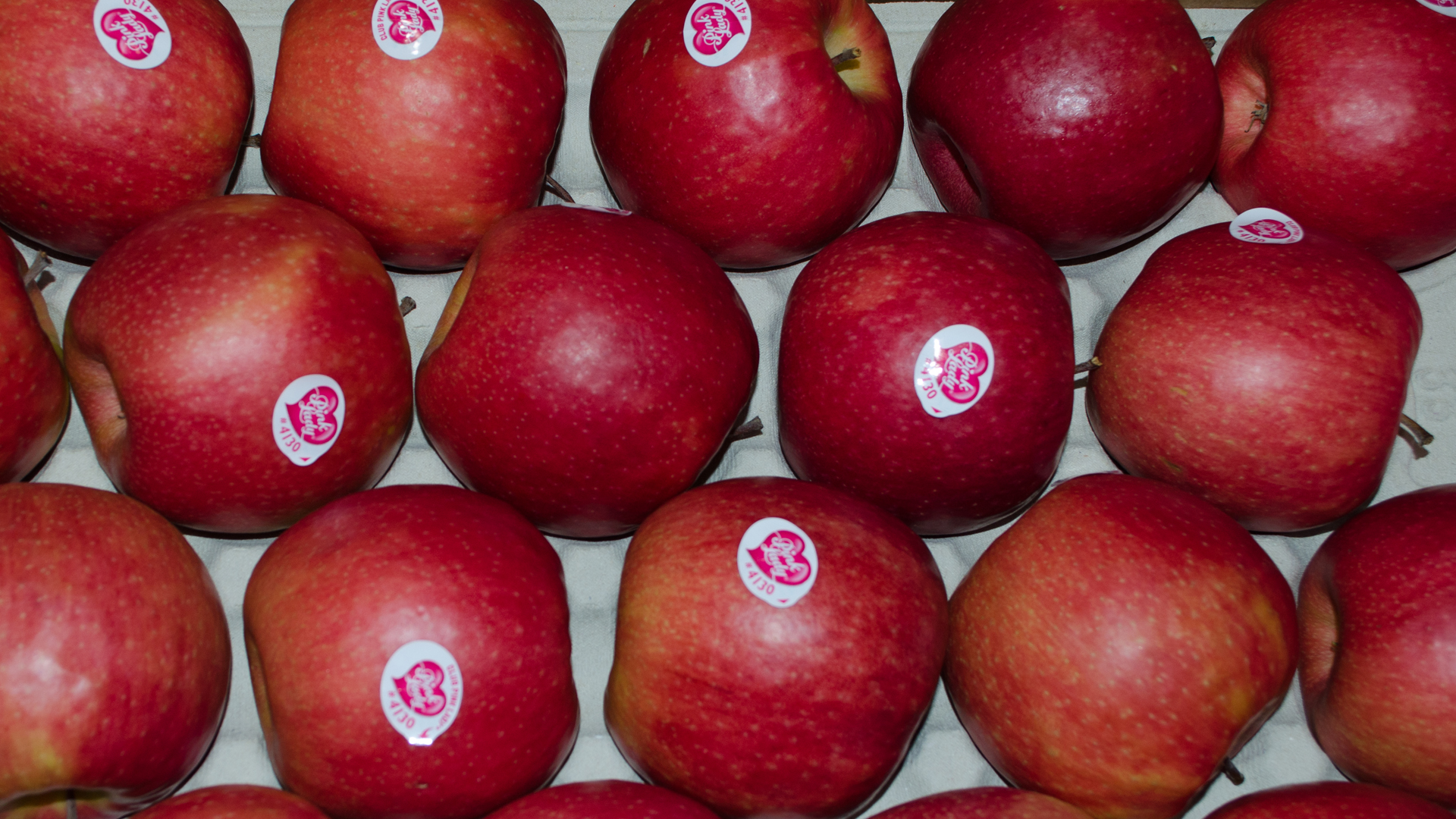 Pink-Lady-Apfel Apfel Pink Lady 12,5kg Kiste