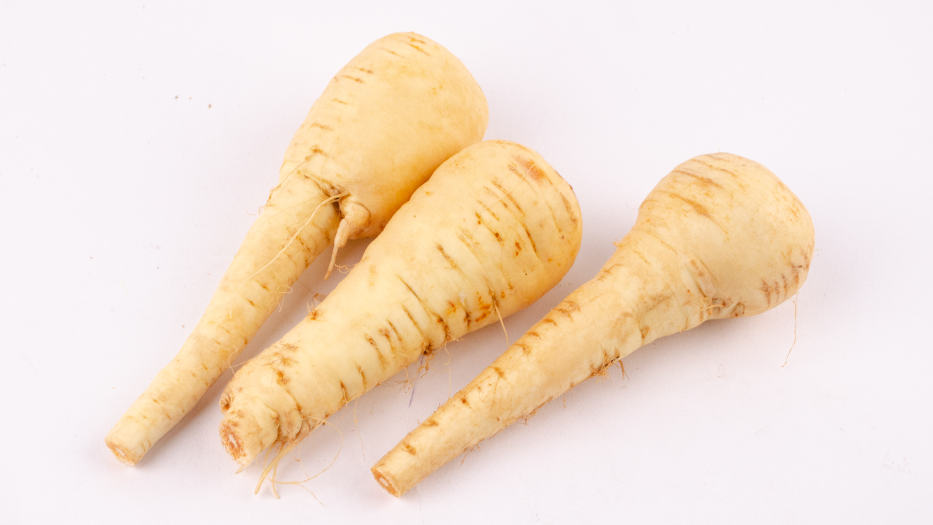 bio-pastinaken-deutschland-lose