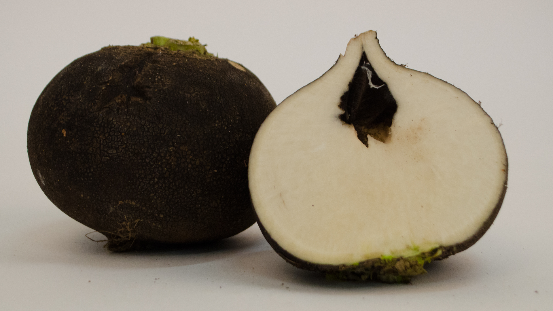 Schwarzer-Rettich Rettich schwarz