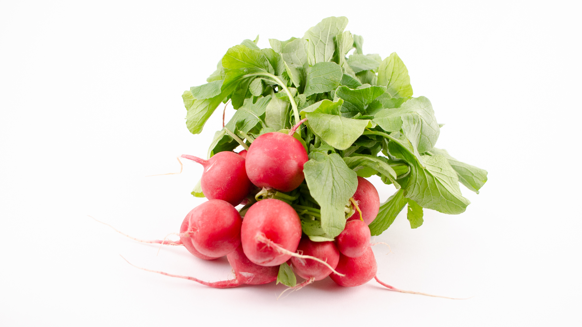 radieschen-bund-deutschland Bio Radieschen Kiste