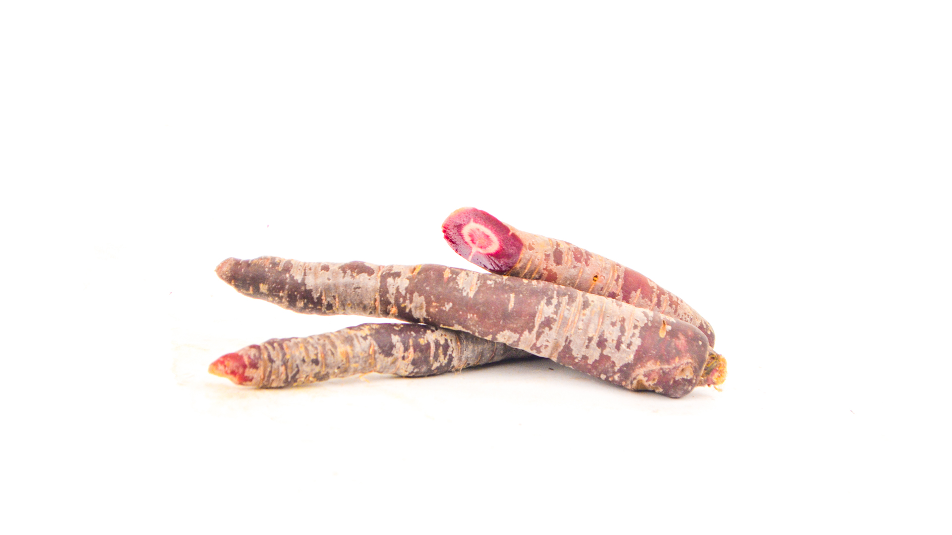 Karotte Bio Möhren lila Luder